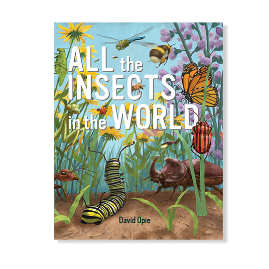 All the Insects in the World book cover